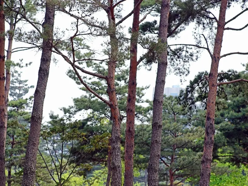 伤了老公的心该怎么挽回：三个正确挽回老公的方法