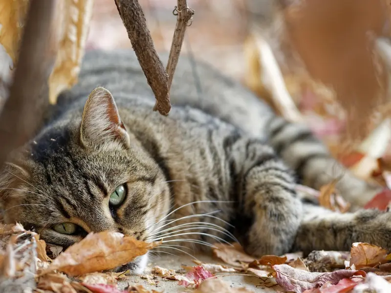 如何挽回老公：看聪明的女人都是如何让老公回心转意的
