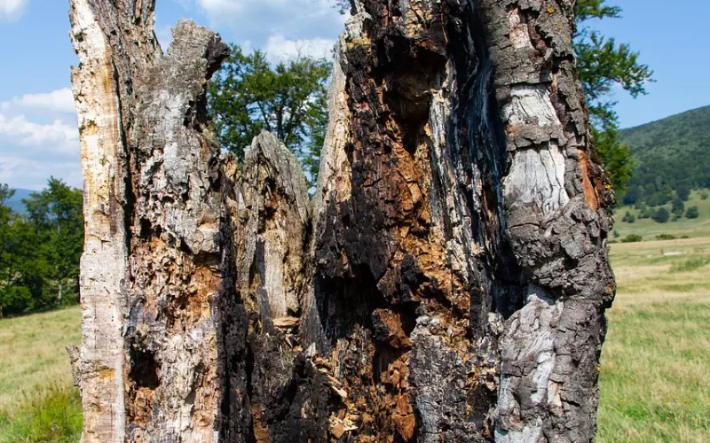 老公心死了该怎么挽回：吵架后挽回老公聪明人的做法