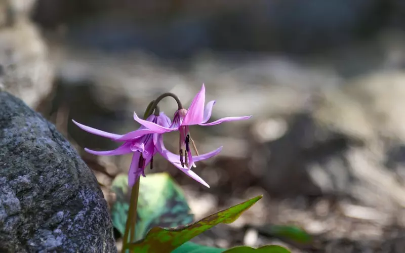 如何挽回老公：如何挽回铁心离婚的男人，挽回应该怎么做