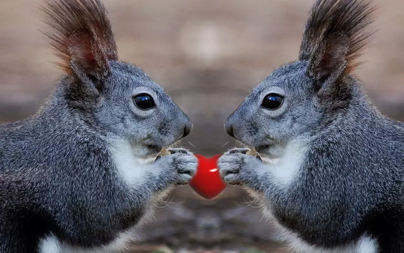 如何挽回老公的心：老公总是跟外面的女人暧昧，该怎么挽回老公