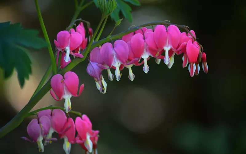 怎么挽回老公：老公出轨，如何挽回老公的心？挽回一个破碎的婚姻