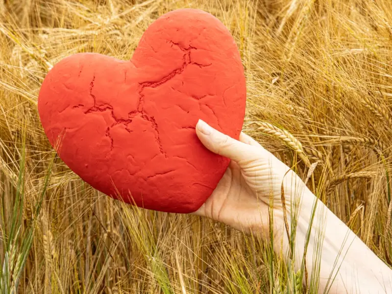 离婚后如何挽回老公的心，正确挽回婚姻的方法