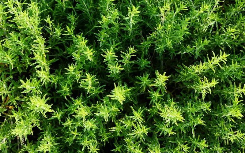 如何挽回老公的心，学会沟通很重要，挽回老公的有效手段