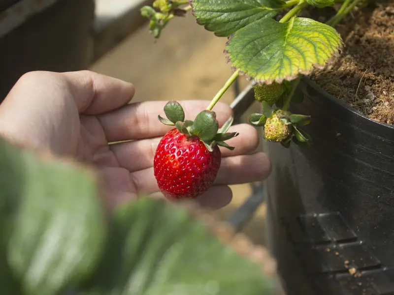 如何挽回老公的心，简单的方法轻松搞定
