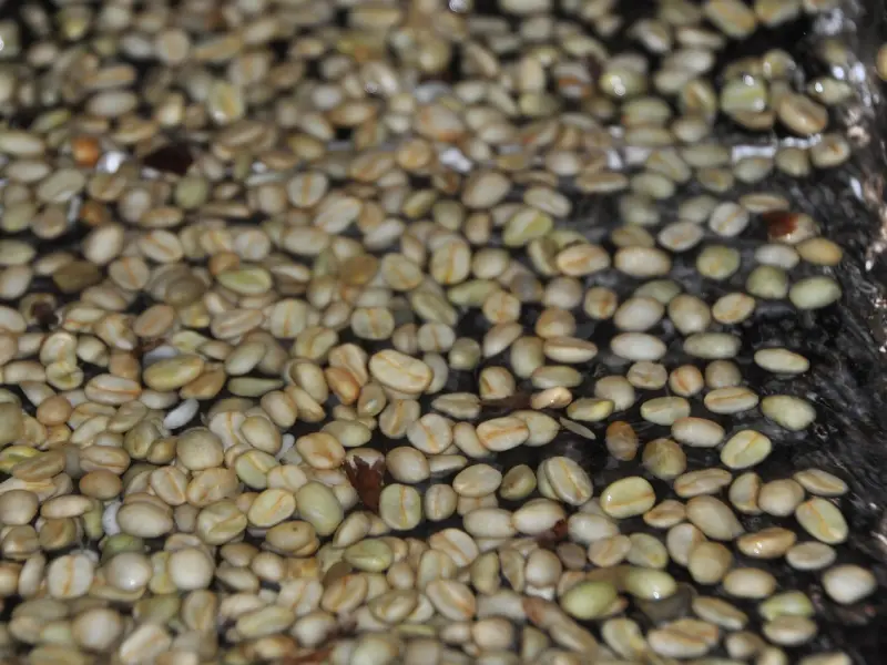 如何挽回老公出轨的心教你用正确的方法处理