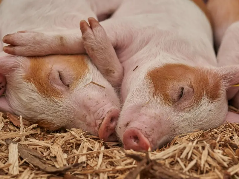 如何挽回老公，分离小三