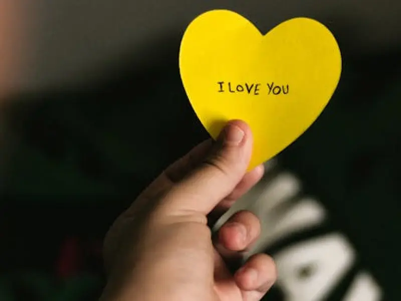 死心的老公怎么挽回：老公不爱死心了，该怎么挽回老公的心？