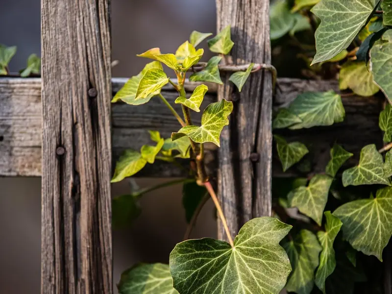 怎么挽回老公的心：老公喜欢上别人，该怎么挽回老公的爱