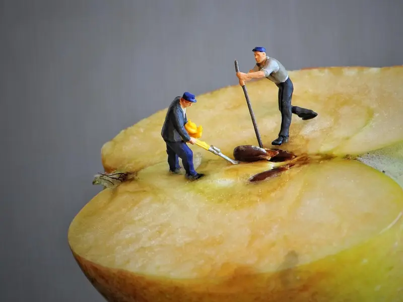 怎么挽回老公：教你几个小窍门去挽回老公