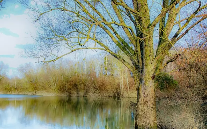 如何挽回老公的心？想要挽回破碎的婚姻，就要做到这几点！