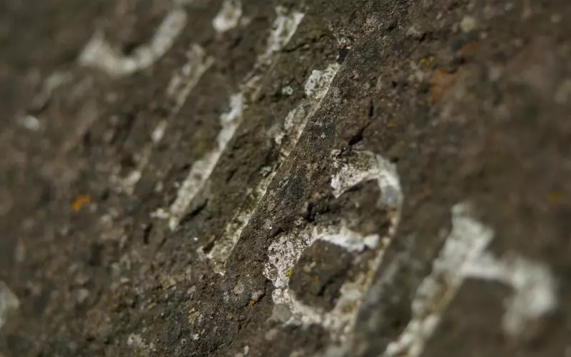 如何挽回老公？教你备注英文微信名称的有效方法