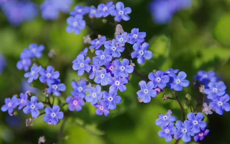 怎么挽回老公的心？要懂得避开这3大雷区