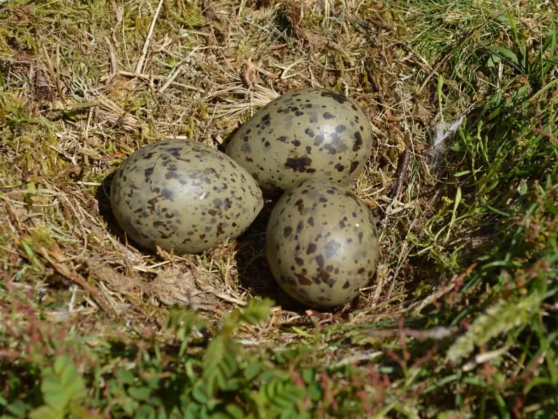 挽回天秤男朋友的做法：抓好三点，他主动挽回你