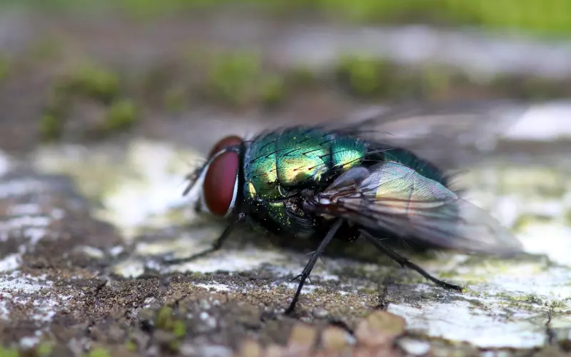 怎么挽回老婆：成功三锦囊总有你要的！