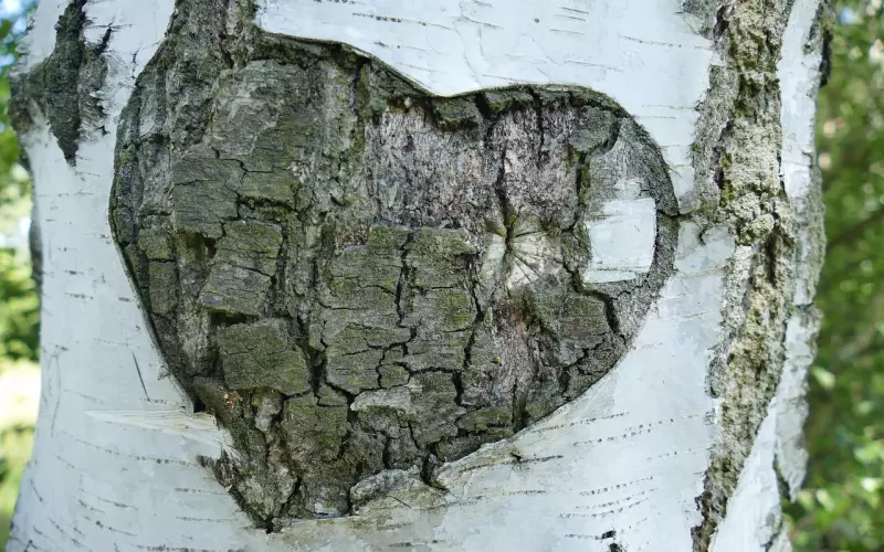 如何挽回老婆的心？泪崩，乞求，承诺，拼了命的挽回都没办法，这几种方法能帮到你