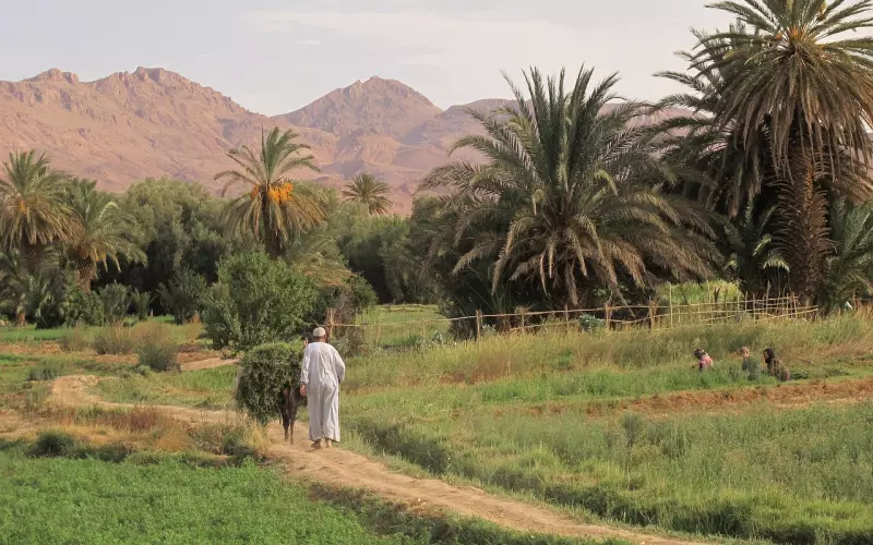 怎样才能在婚内出轨后挽回老婆