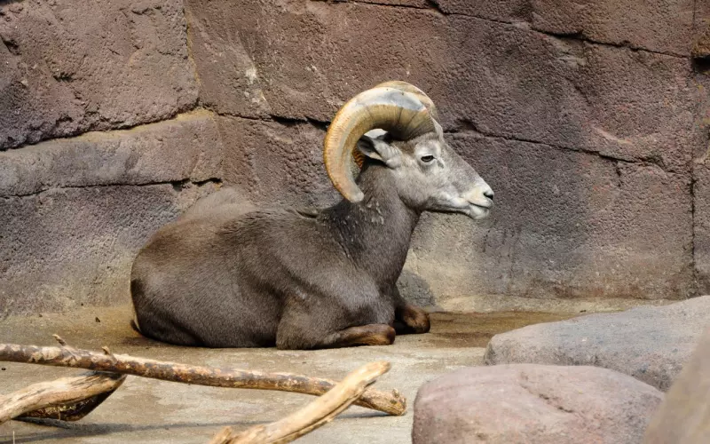 挽回星座男友方法：学会技巧，让摩羯男对你死心踏地