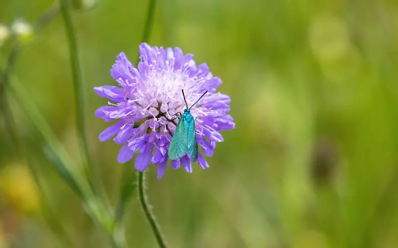 挽回星座男友方法：学会技巧，让白羊男友对你死心踏地