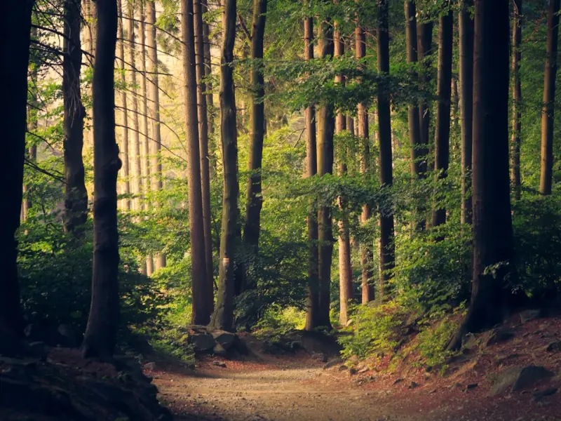 怎么挽回狮子座男人的心：学会这三招，你能成功