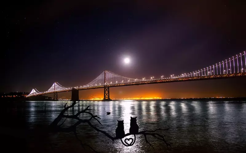 如何撩回前任的心让他重新爱上你？