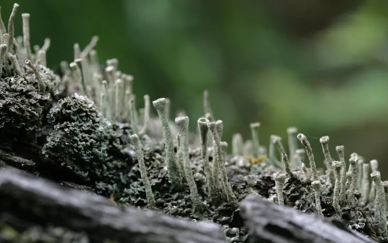 挽回爱情的日志怎么写？