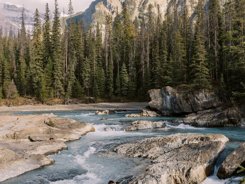 “情人节”过的好坏也是你之前婚姻经营的一次“考试”——情感挽回专家崔永福说