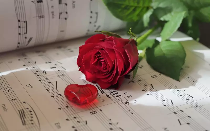 花镇冷爱教你如何一步步挽回男友的心