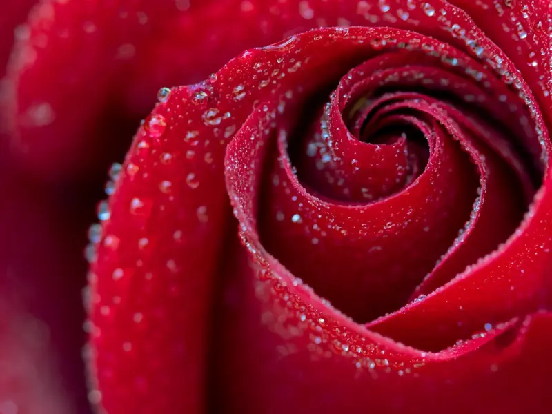 花镇冷爱教你如何一步步挽回男友的心