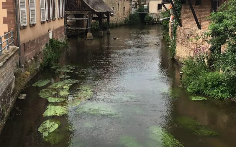 花镇情感咨询师：突然被分手是一种什么样的体验？