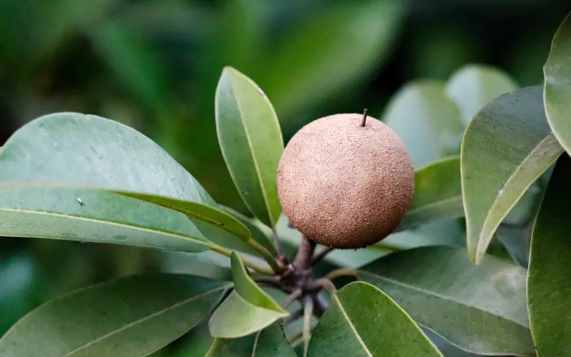 人心啊，人心（经典）