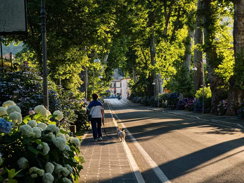 人性本贱:容易被看穿的人不被珍惜