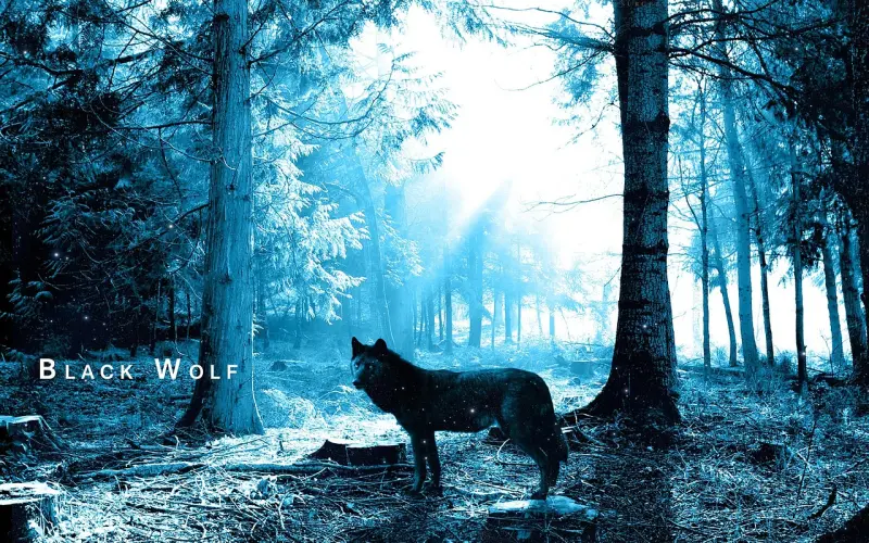 人，有时比狼更可怕！