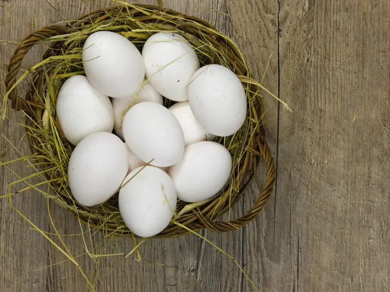 男女情感问题的幽默回答