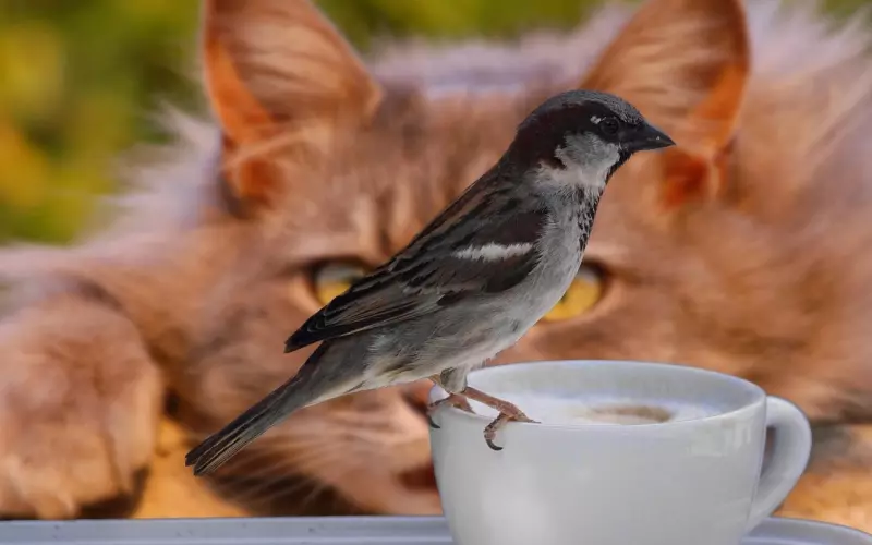 男女情感的幽默笑语