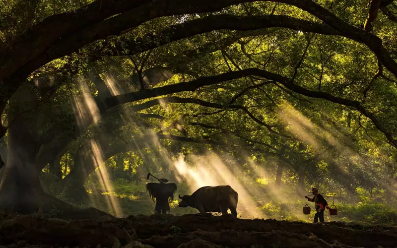 夫妻，到底谁更累？写的太到位了。