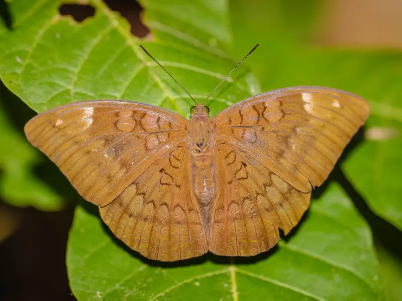 老公出轨，妻子最明智的做法