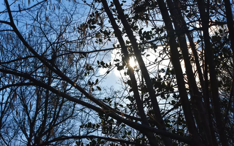 老公与前妻纠缠不清？用这一招挽回他！