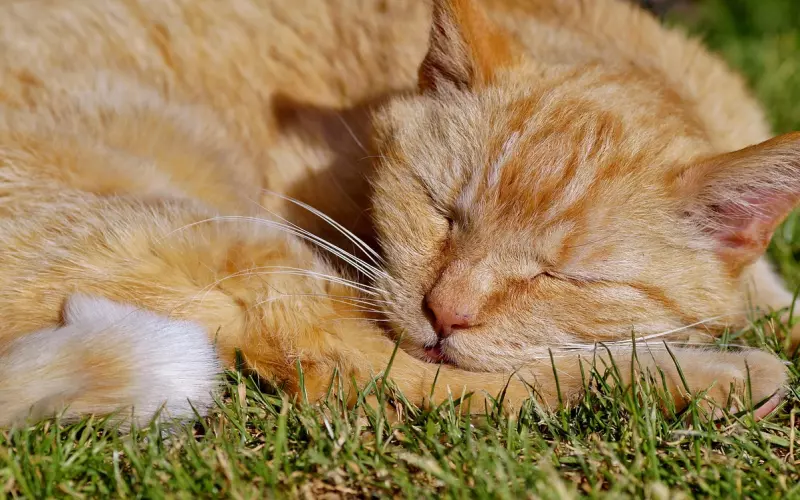 黄荷娜承认与朴有天分手：请不要再来打扰我
