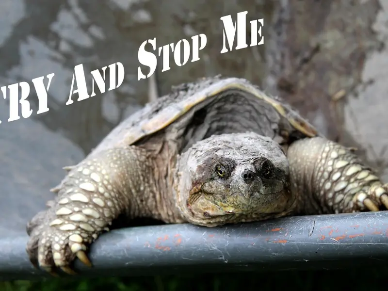 “无意中录到同事在我座位做不可描述的事，我感到恶心却不知如何是好......”