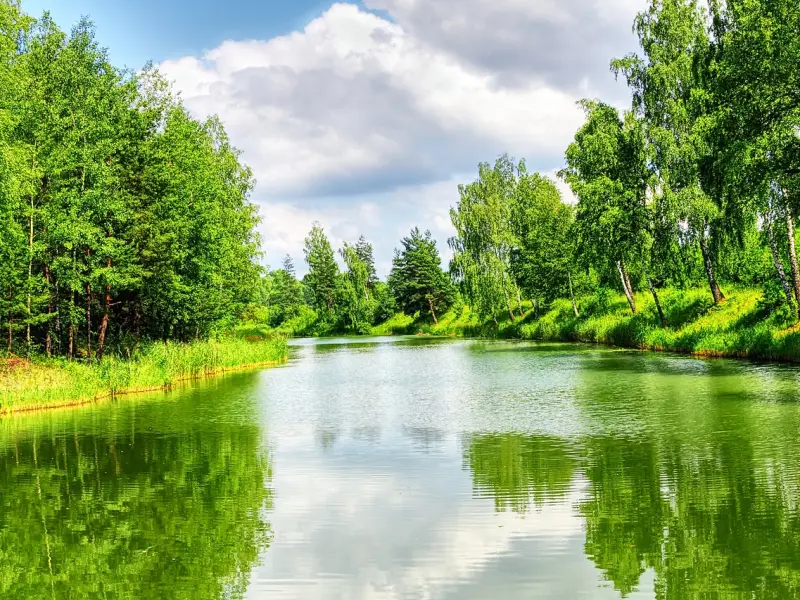 给前任发消息总是没有回应，我到底犯了哪些错误？ ​