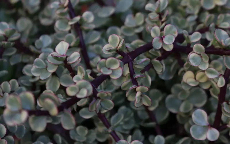 挽回爱情中这也怕，那也怕，我应该怎么办？