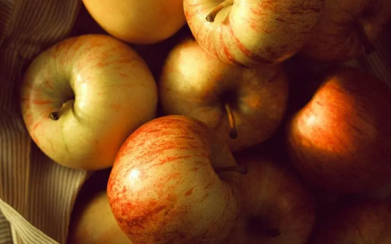 为学霸和大神的爱情酸了，杨紫这份倒追宝典，拿走不谢！