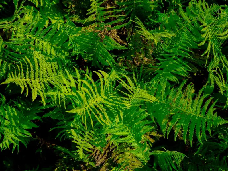 因为矛盾我打了老婆，她现在非要和我离婚，我该怎么办