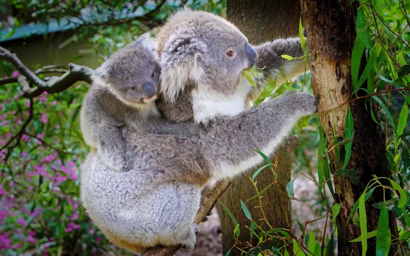 分手之后我把前男友拉黑了，现在相复合还有可能吗