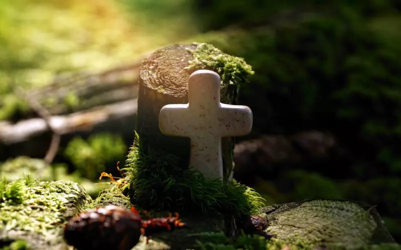 分手八个月并拉黑所有联系方式 我要去挽回前任吗？