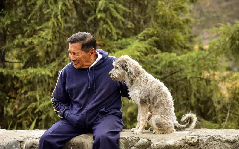 和男友吵架导致分手，该怎么挽回他的心