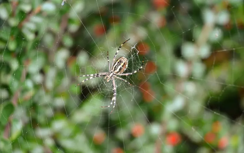 和男友分手八个月 我还能挽回吗