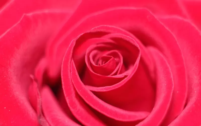 我无理取闹跟男友分手 该如何挽回爱情？