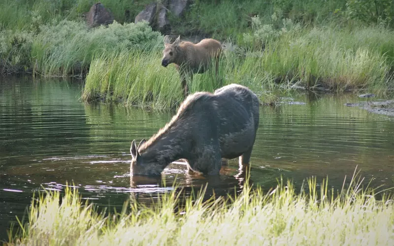 和异地恋男友闹分手 挽回了却又不接我电话